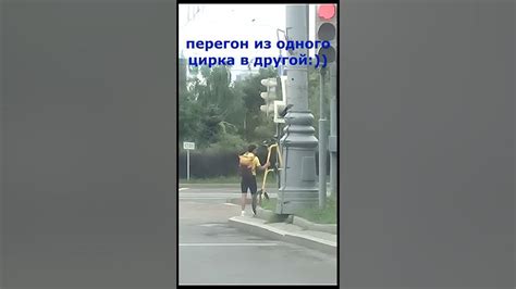 цирковой велосипед😄на столичной дороге👍 - YouTube