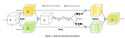 Selective Kernel Convolution Explained Papers With Code