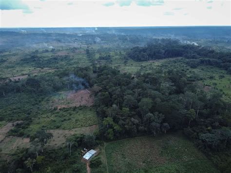 Congo Basin, world’s second-biggest rainforest, now reported to be ...