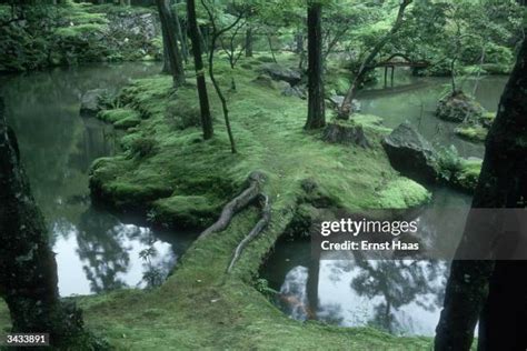 Kyoto Moss Garden Photos and Premium High Res Pictures - Getty Images