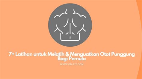 7 Latihan Untuk Melatih And Menguatkan Otot Punggung Bagi Pemula — Ob