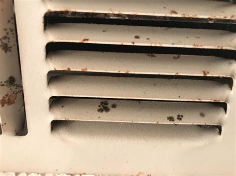 Is This Mold On My Bathroom Air Vents R Mold