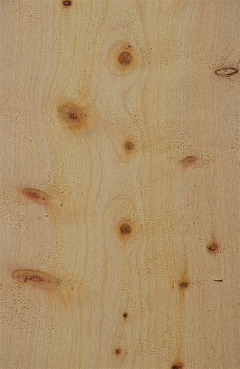 Cipresso Zypresse S Gefurnier Holz Authentisch