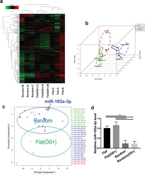 PLLA Nanofibrous Substrates Activated The Mitogen Activated Protein