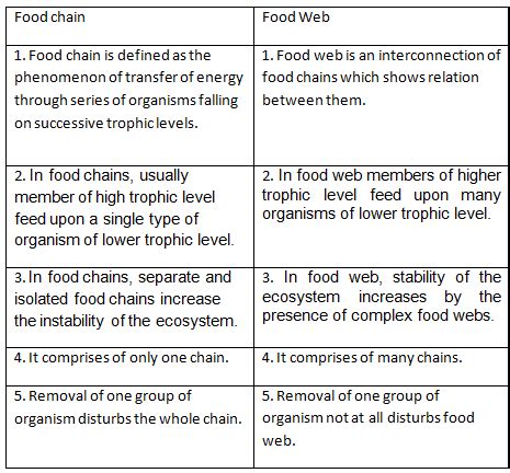 Difference Between Food Chain And Food Web