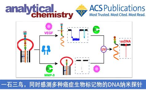 Anal Chem Dna Chem Station