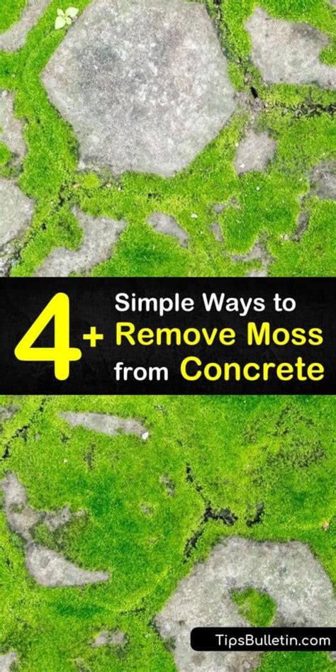 4 Simple Ways To Remove Moss From Concrete