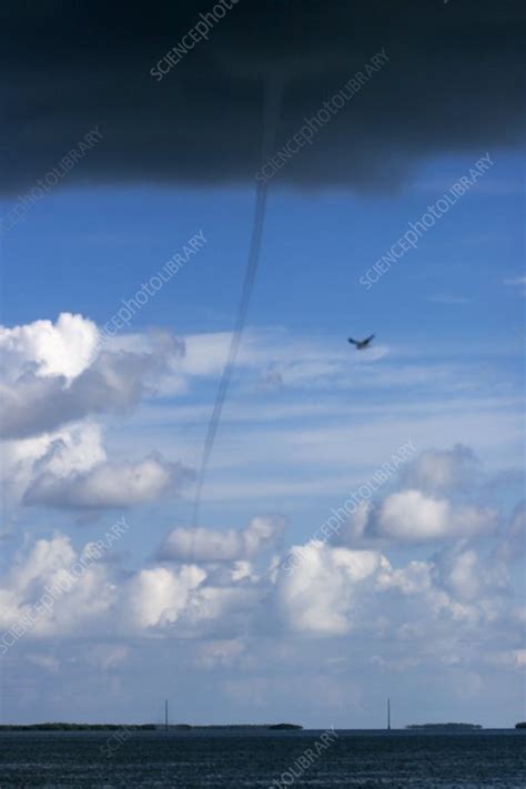 Waterspout, Florida, USA - Stock Image - E150/0135 - Science Photo Library