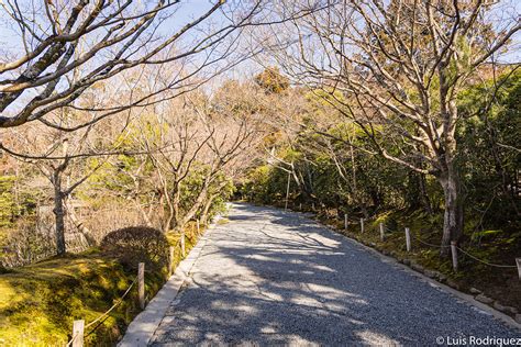 Ryoanji All Photos Property Of Japonismo Contenidos De Flickr