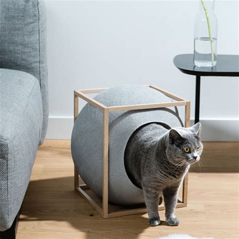 Pets | Modern cat bed, Cat furniture, Cat bed