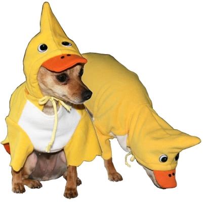 Duck Dog Costume : Yellow Duck Dog Costumes : Duck Costume For Dogs