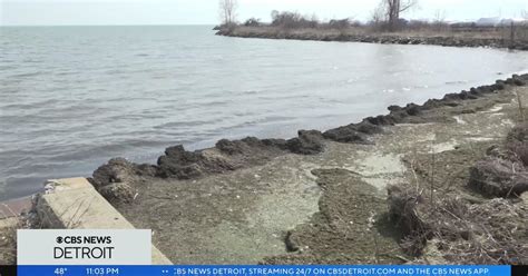 Macomb County Us Army Corps Investigating Muck Along Lake St Clair