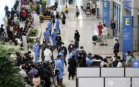 중국 한국인의 중국 경유 해외여행 금지 네이트 뉴스