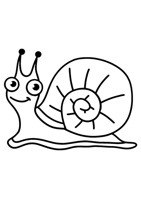 Snail - JORZ ART