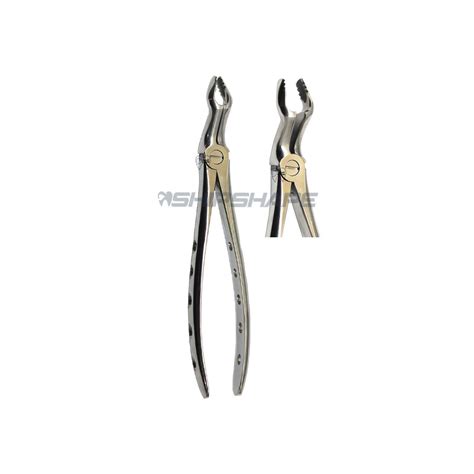 Universal Atraumatic Extraction Forceps F6