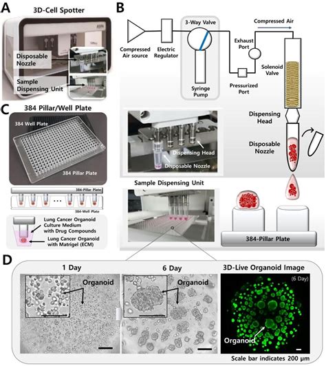 A Schematic View Of High Throughput Screening HTS Platform Using