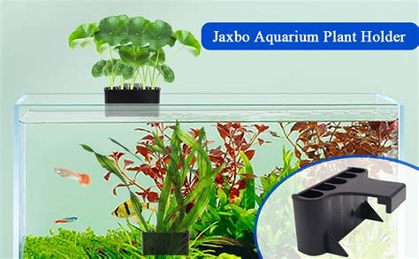 Amazon Jaxbo Aquarium Plant Holderplastic Fish Tank Plant Holder