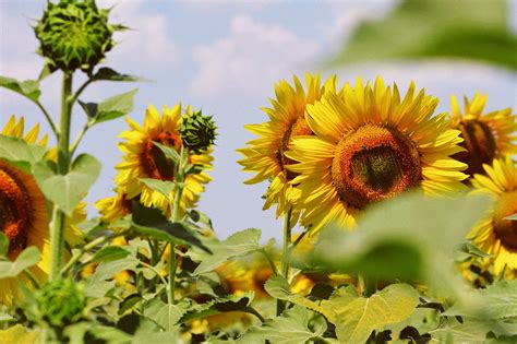 5 Affirmations to Reclaim Your Power & Radiate Your Truth– Healing Brave