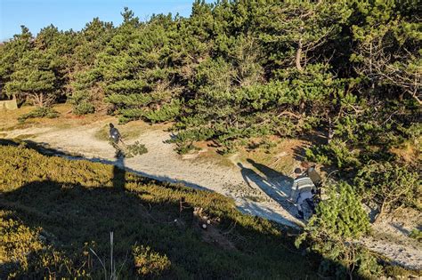 Mehr Platz F R D Nenpflanzen Schutzstation Wattenmeer