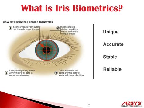 Ppt Iris Biometrics For Accurate Patient Identification Powerpoint