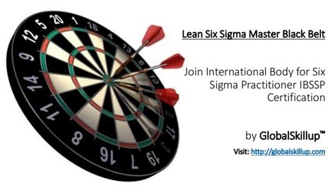 Lean six sigma master black belt