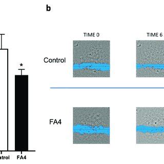 Effects Of FA4 On Apoptosis Induction In PDAC 1 A And PDAC 2 B