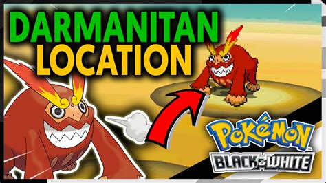 Where To Find Darmanitan On Pokemon Black And White Youtube