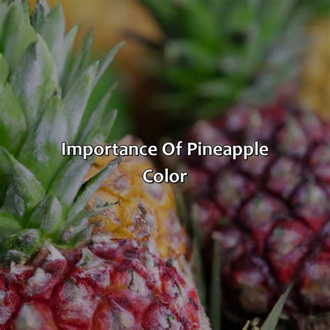 color   pineapple colorscombocom
