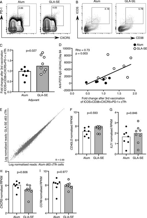 A Gla Se Adjuvanted Vaccine Promotes Ctfh Expansion A And B Flow