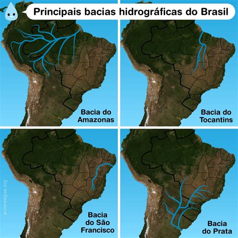 Bacias hidrográficas arvoreagua khondrion