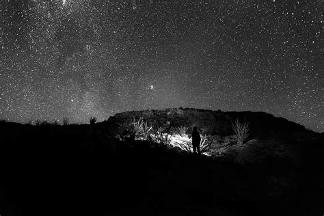 HD Wallpaper Person Standing Holding Flashlight Near Trees Silhouette