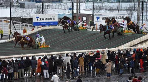 帯広ばんえい競馬の発売額、史上最高483億円 ネット販売好調 毎日新聞