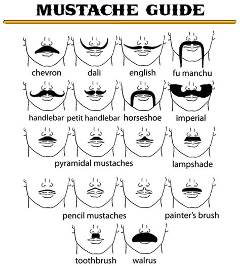 Mustache Styles Chart