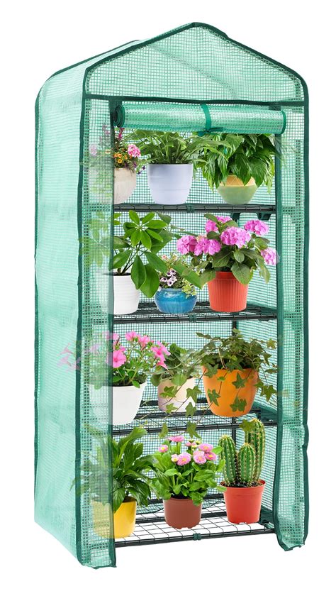 Amazon.com : Ohuhu Mini Greenhouse for Indoor Outdoor, Small Plastic ...