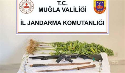 Uyuşturucu operasyonunda samuray kılıçları ele geçirildi Son Dakika