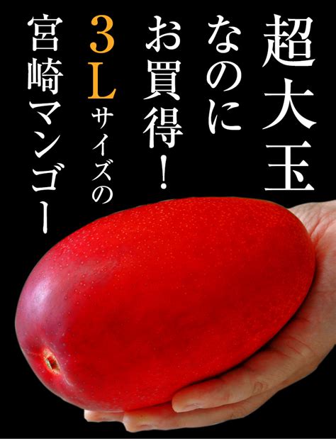 宮崎県産 完熟マンゴー 35kg Ocanjp