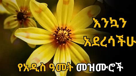 ተወዳጅ የአዲስ አመት መዝሙሮች ስብስብ የአዲስ አመት መዝሙሮች ስብስብ songs የእንቁጣጣሽ መዝሙሮች