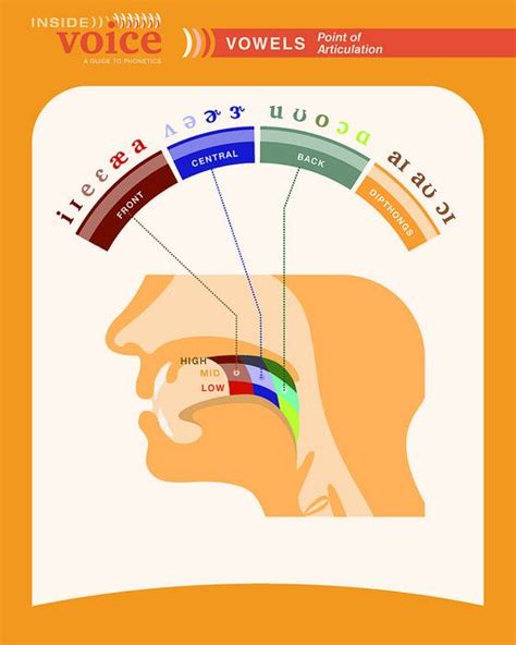 Phonetics Poster Vowel Articulation Speech And Hearing Pinterest