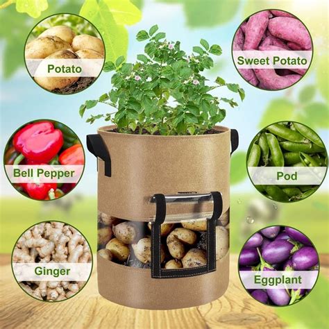 Potato Grow Bag Buy Online And Save Free Delivery