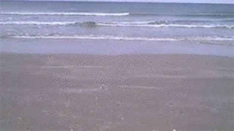 SSBBW Models Sexy Tiny Yellow Poka Dot Bikini While She Plays In The Water M V BBW Modeling