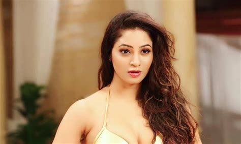 Super Hot Gorgeous HD Bikini Photos Of Shilpi Sharma