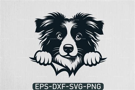 Peeking Australian Shepherd Svg Graphic By Uzzalroyy9706 · Creative Fabrica