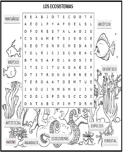 Los Ecosistemas PDF En 2024 Actividades De Los Ecosistemas