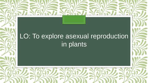 Asexual Reproduction In Plants Ks2 Teaching Resources