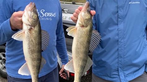 Mille Lacs Lake Walleye And Smallmouth Bass Fishing Report Opener