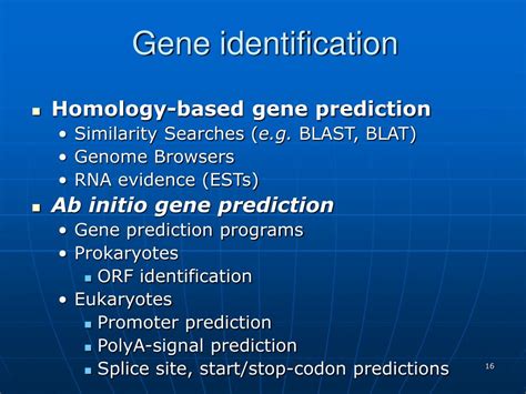 Ppt Gene Prediction Approaches Powerpoint Presentation Free Download