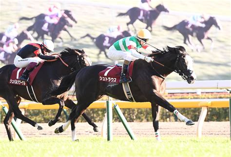 【東スポ杯2歳s】4番人気シュトラウスが重賞初制覇 ライブドアニュース