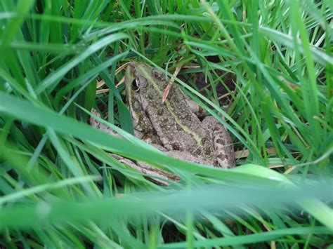 New climate protections will safeguard the Southport Connecticut coast 13