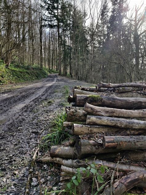 Bridleway Through Blakeway Coppice Mat Fascione Geograph Britain