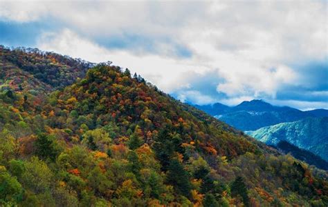 秋天的秦岭究竟有多美 秦岭 国道 盛宴 新浪新闻